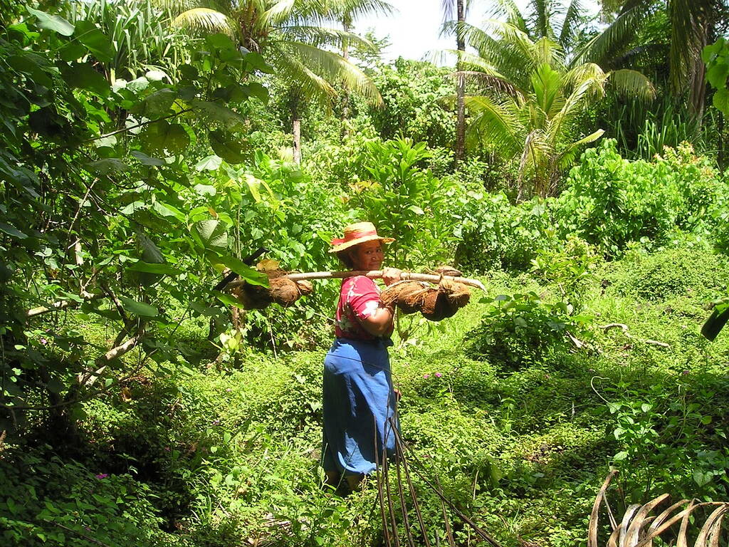Samoa Weather in April