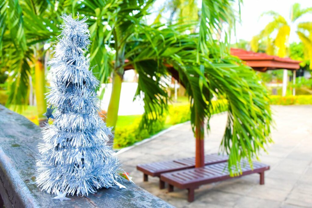 Samoa Christmas Ideas: How to Spend Christmas in Samoa