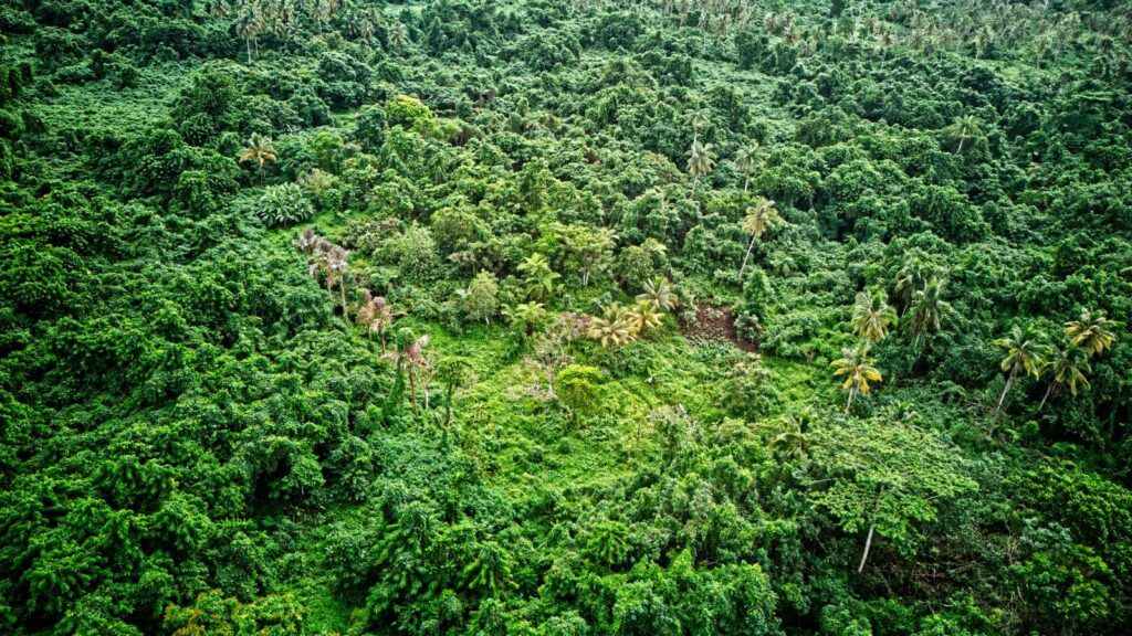 15 Best Historical Sites in Samoa
