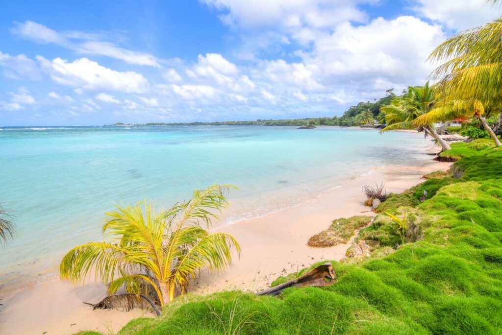 The Best Snorkelling in Savai'i: Top 8 Places to Snorkel