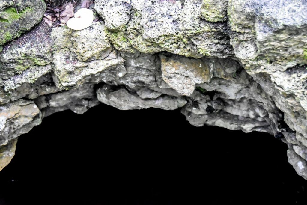 50 BEST Things to Do on Savai'i ☀️ [2023]