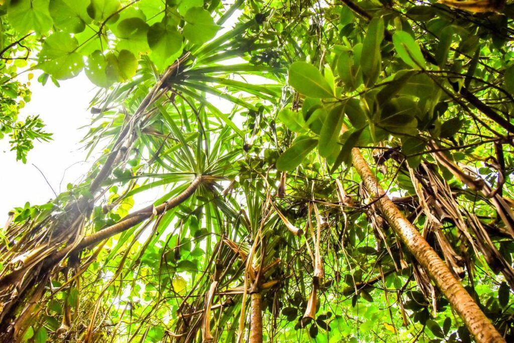 15 Best Historical Sites in Samoa ????️