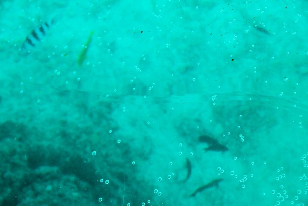 10 Things to Do on Savai'i with Kids