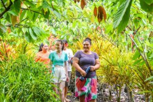 10 Best Guided Tours on Savai'i