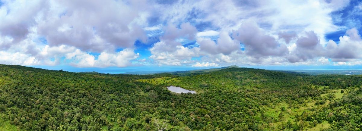 16 Best Walks & Hikes in Samoa 🥾🌴