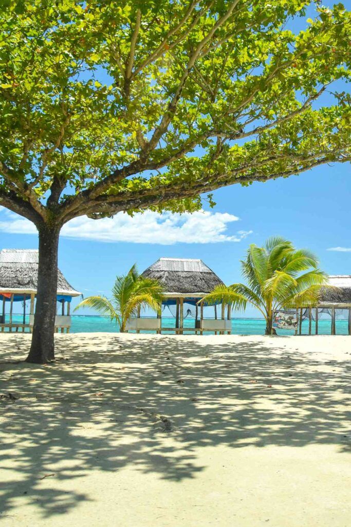 10 Best Beach Fale Accommodations on Savai'i 🏝️ [2025]