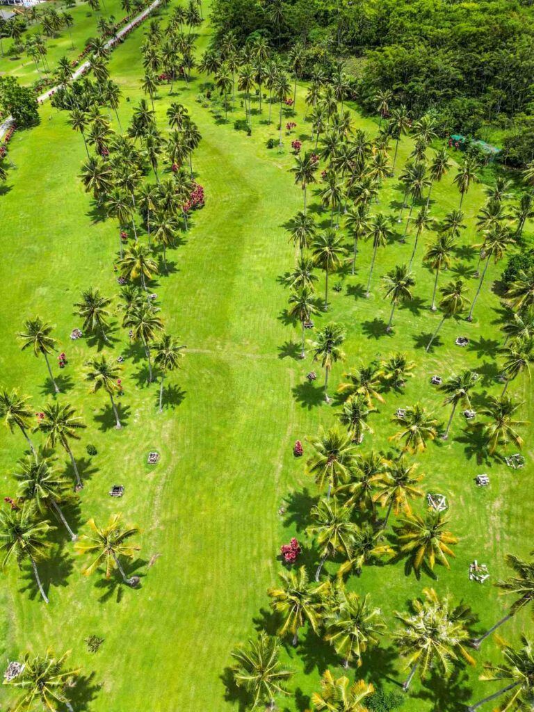 10 Adults-Only Activities on Upolu
