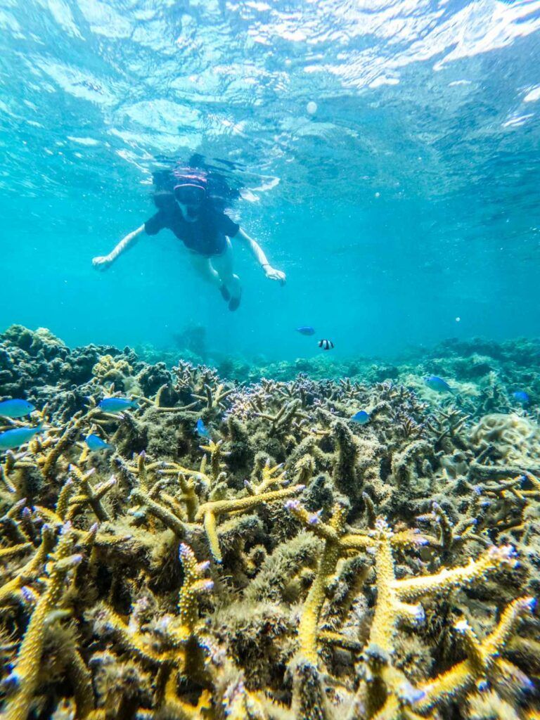 50 BEST Things to Do on Savai'i ☀️ [2023]