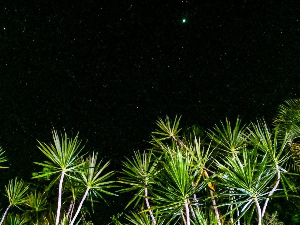 The Guide to Savai'i Nightlife + 5 Things to Do on Savai'i at Night