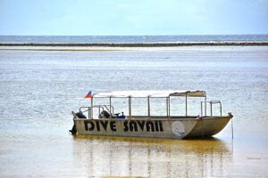 Learn to Dive in Samoa: Where to Get Your Scuba Diving Certification