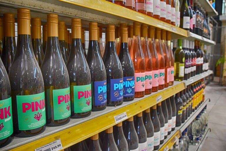 Information, Shops & Services in Apia