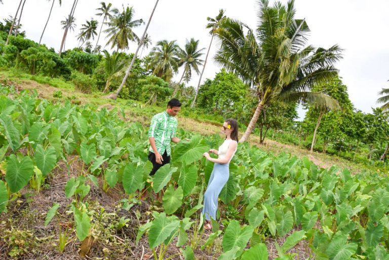 10 Best Village Tours in Samoa