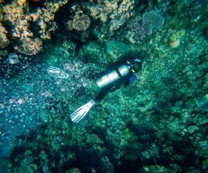 The Best Time to Dive in Samoa 🕒