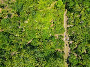 The Best Off-Road Tours in Samoa ???? [2023]