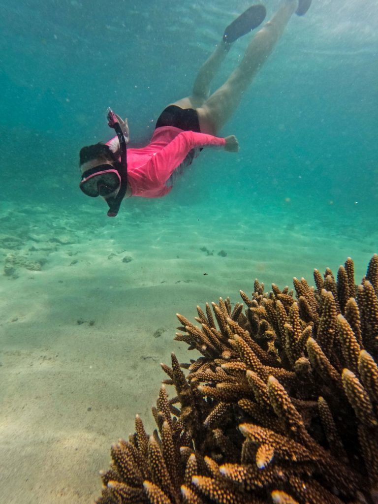 The Best Snorkelling in Upolu: Top 10 Places to Snorkel