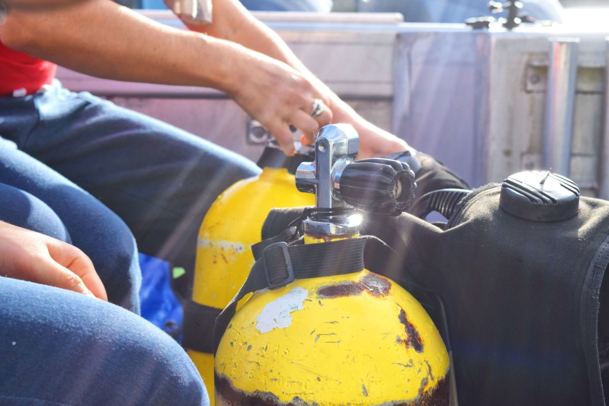 The Best Dive Shops & Operators in Samoa ???? [2023]