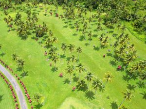 The Complete Guide to Golf in Samoa ⛳