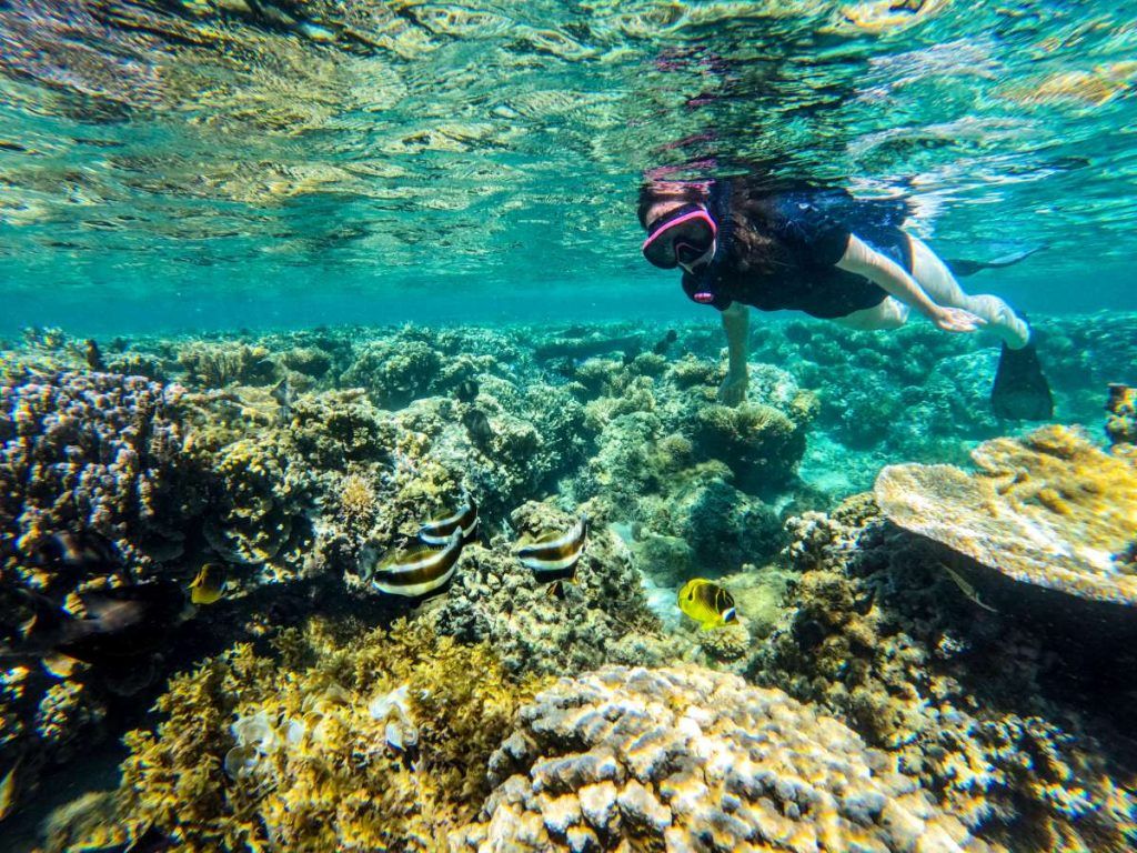 The Best Snorkelling in Upolu: Top 10 Places to Snorkel