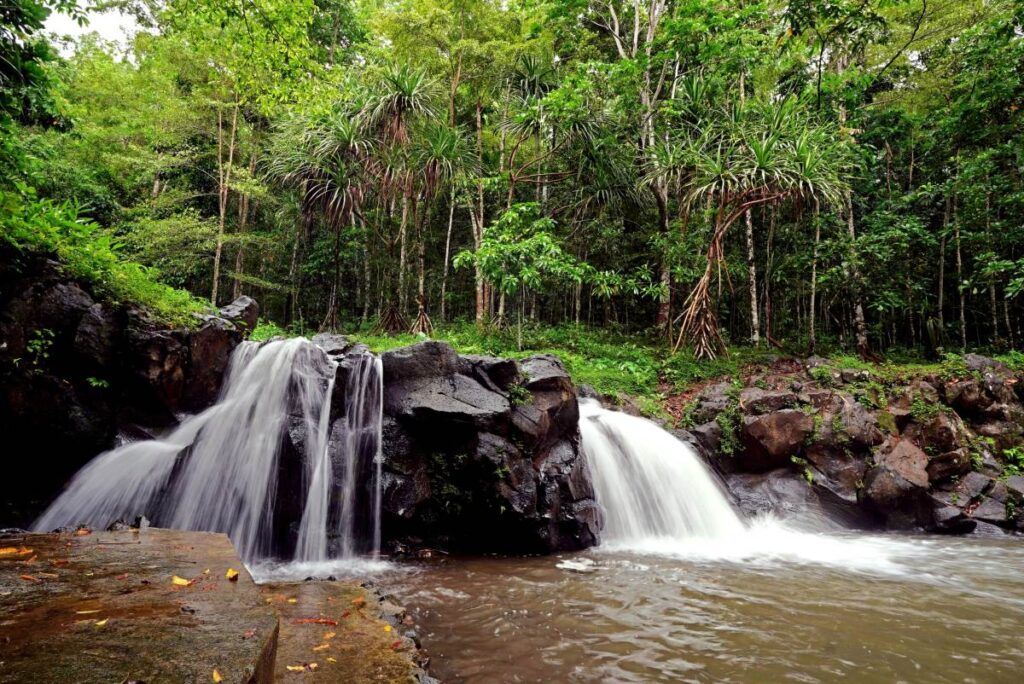 10 Things to Do in Apia with Kids 👪