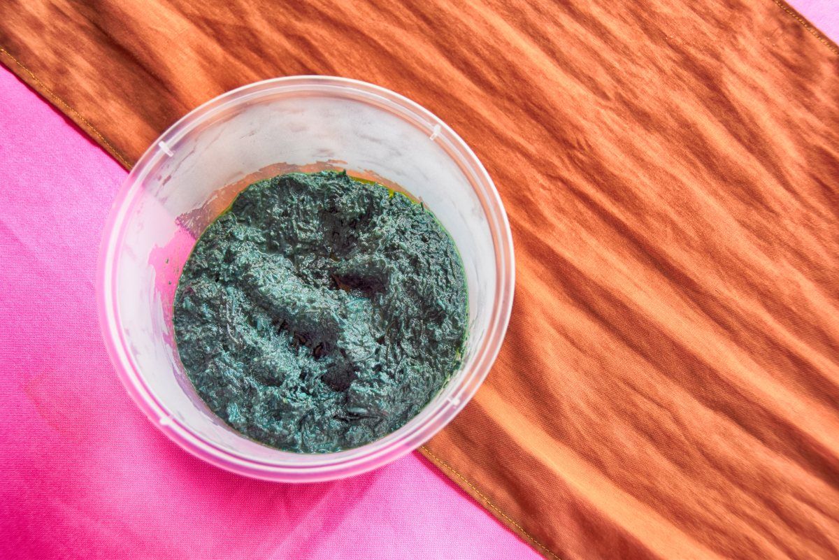 How to Experience the Palolo Season in Samoa Samoa Pocket Guide