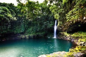 10 Best Day Tours of Samoa 🌴 [2023]