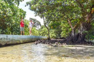10 Best Guided Walks in Samoa ???????? [2023]
