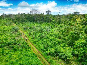 The Ultimate Guide to Mountain Biking in Samoa ???? [2023]