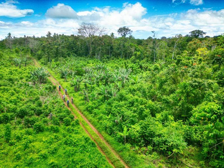 The Ultimate Guide to Mountain Biking in Samoa ???? [2023]