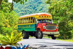 Taking the Bus in Apia & Upolu: Bus Fares, Routes & More