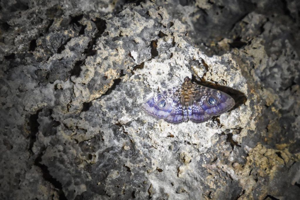 10 Best Caves in Samoa ????