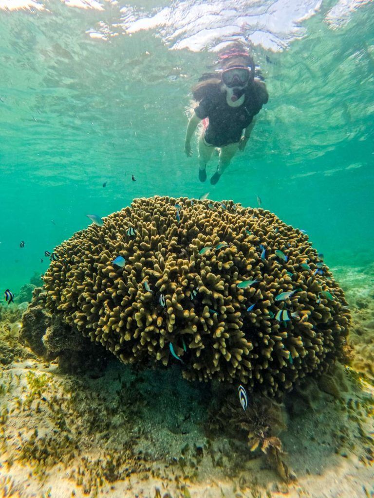 10 Most Relaxing Things to Do in Samoa ????