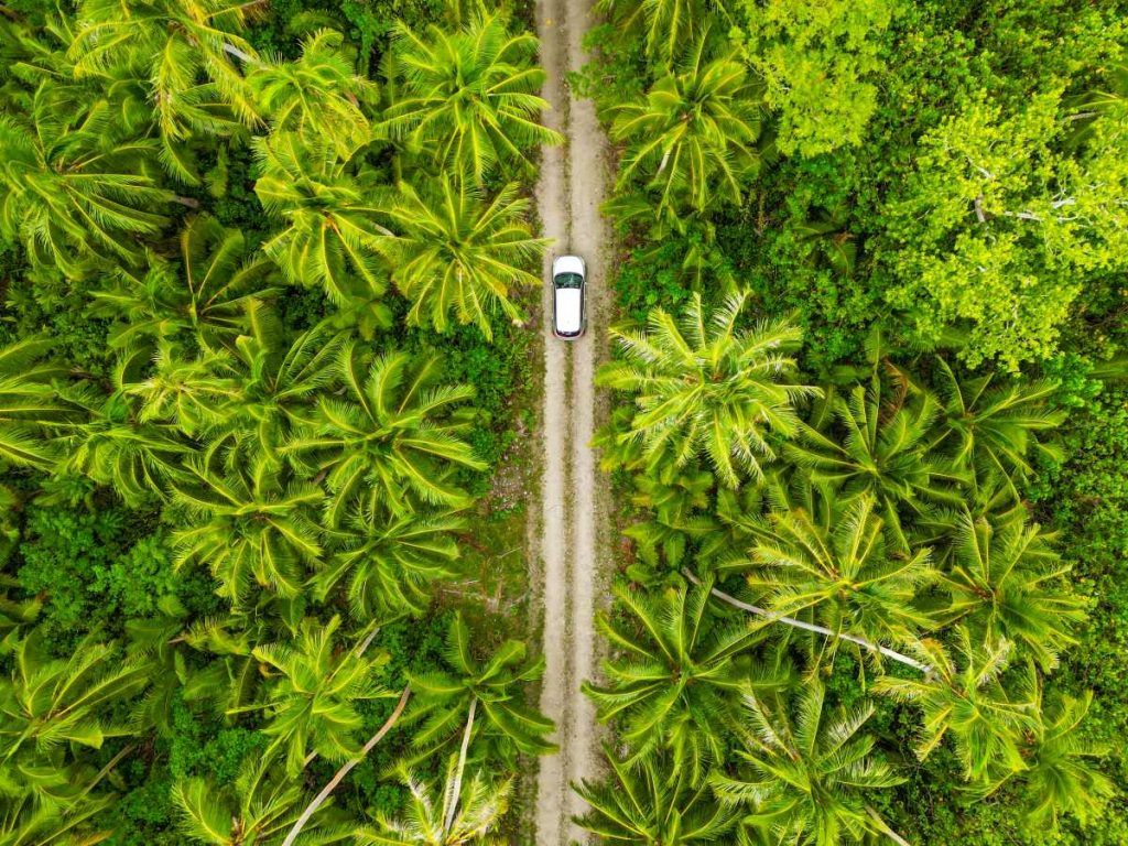 10 Safety Tips for Driving in Samoa