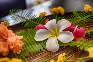 The Guide to Retreats in Samoa: Yoga, Wellness & More