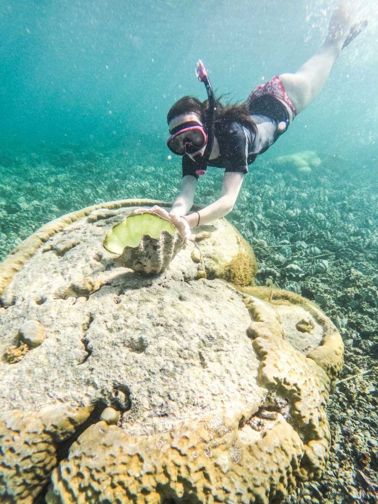 Samoa Budget & Backpacking Itinerary: 5 Days