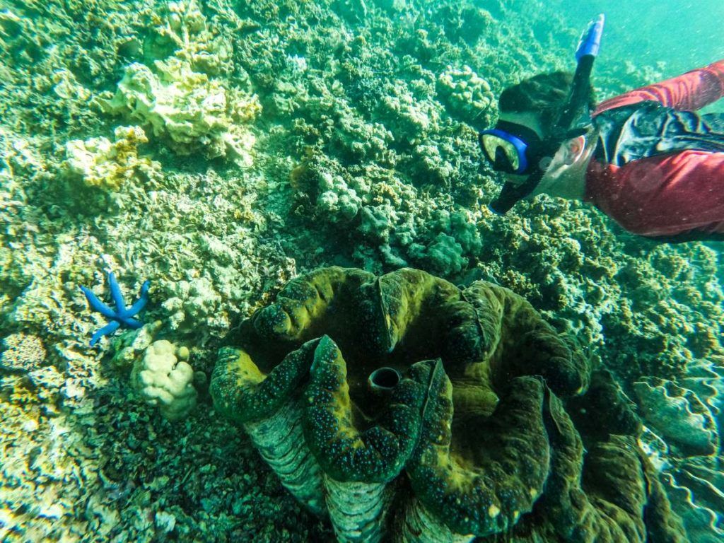 10 Best Eco Tours in Samoa