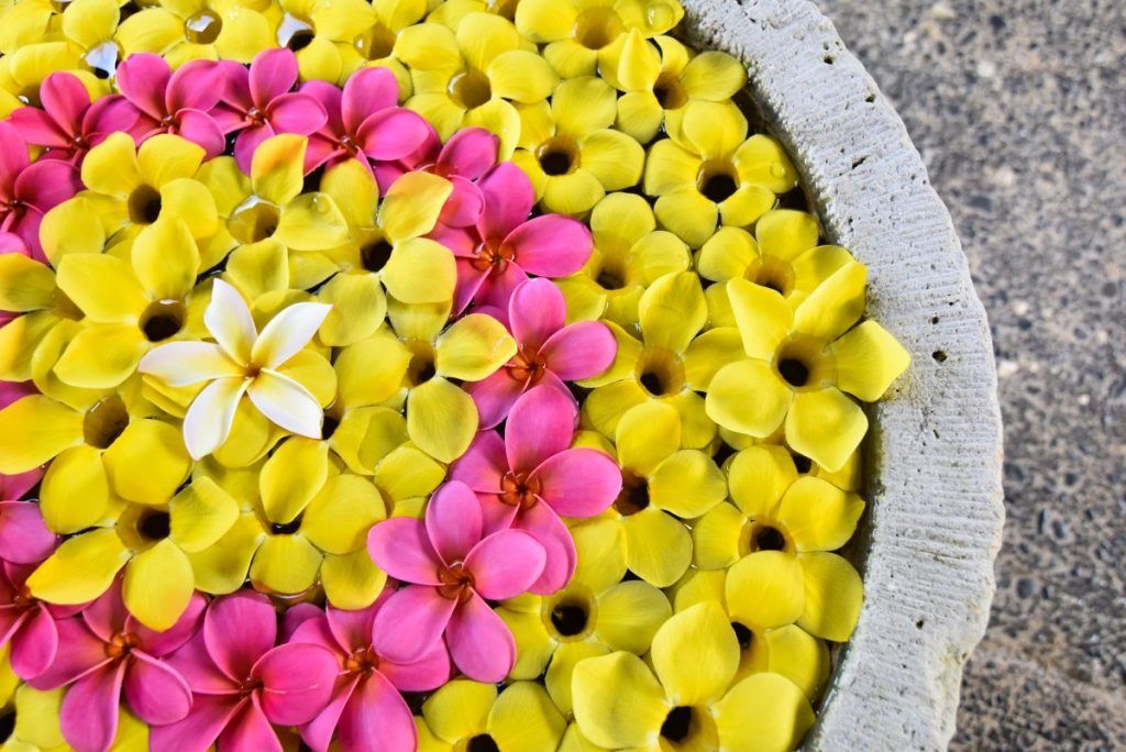 The Guide to Retreats in Samoa: Yoga, Wellness & More