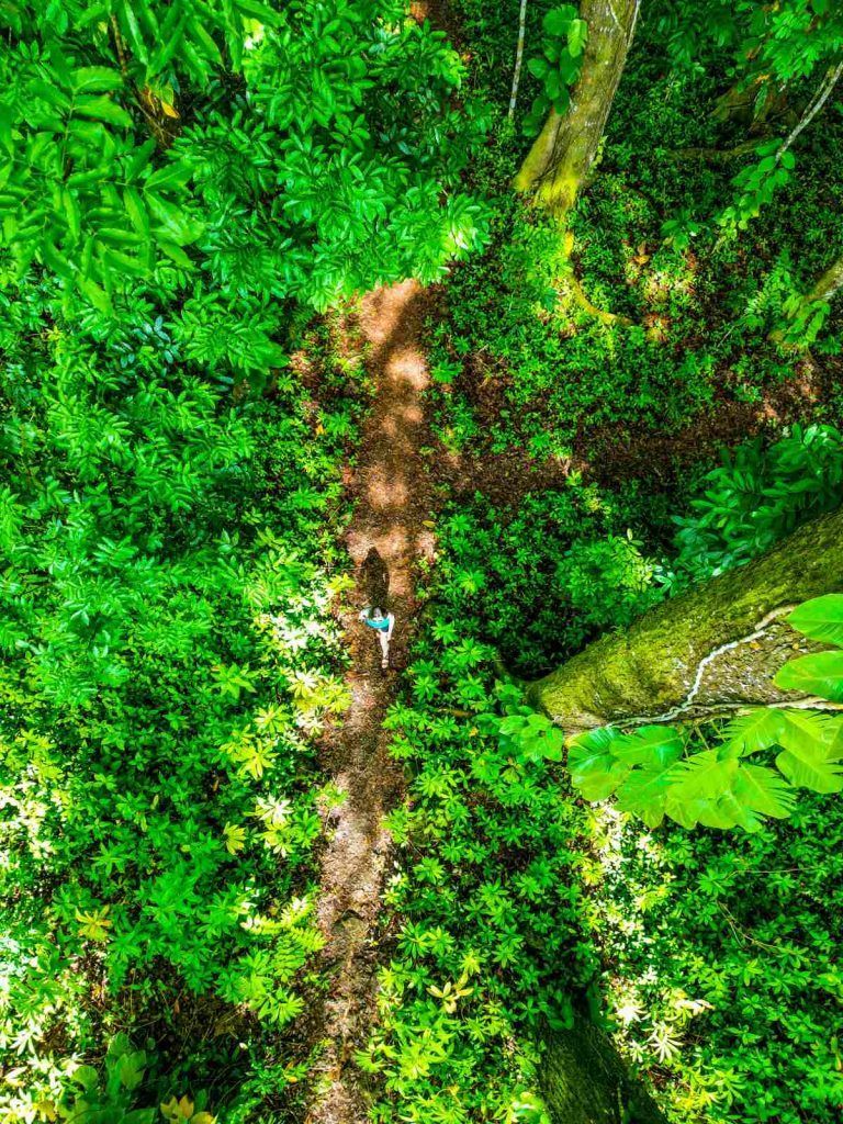 20 Most Romantic Things to Do in Samoa for Couples ???? [2023]