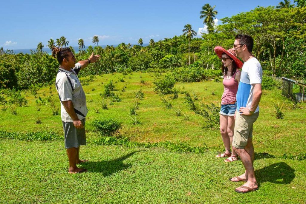 Samoa Food Itinerary: 5 Days