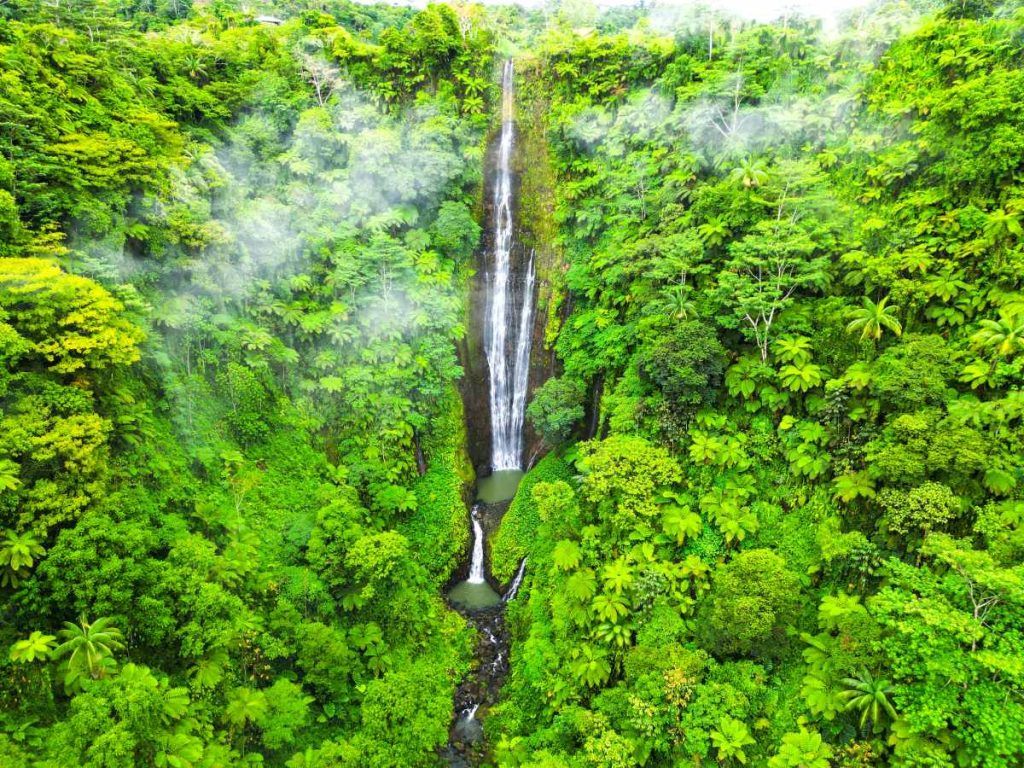 Samoa Travel Tips: 30 Tips for Travelling in Samoa ???? [2023]