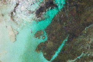 5 Best Day Trips in Samoa ????️ [2023]