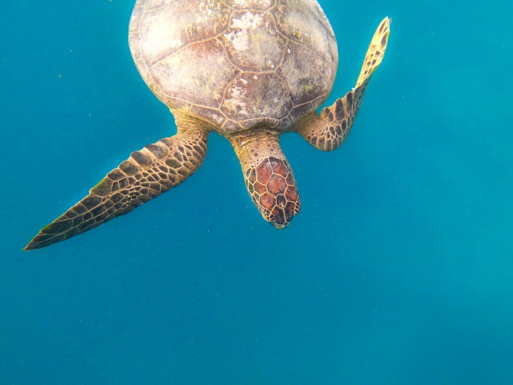 20 Top Reasons to Visit Samoa