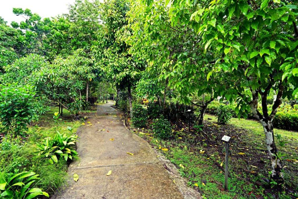 Accessibility in Samoa: Travellers with Disabilities, Wheelchair Access & More