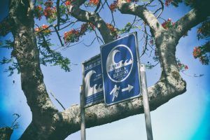 The Guide to Earthquakes & Tsunamis in Samoa