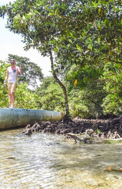 10 Best Guided Walks in Samoa ???????? [2023]