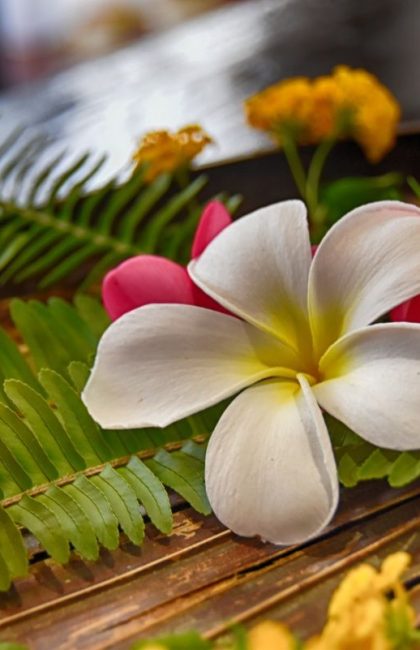 The Guide to Retreats in Samoa: Yoga, Wellness & More